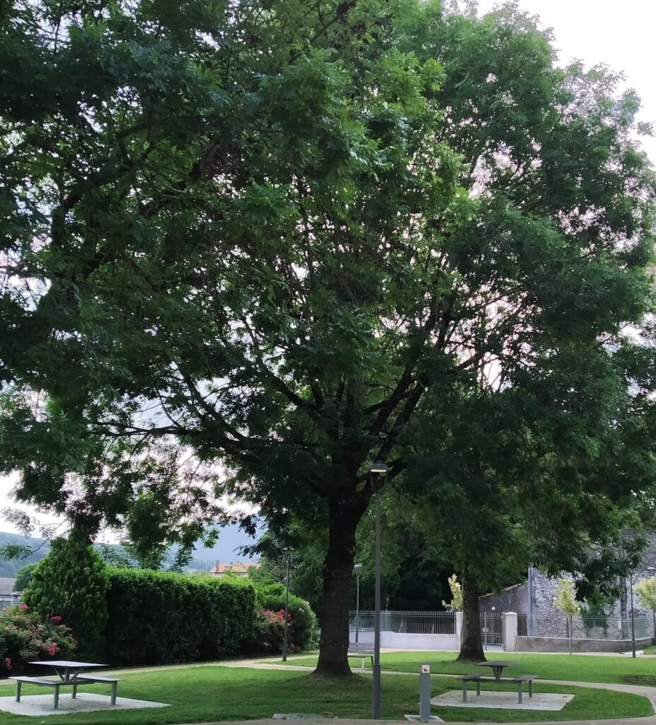 Aménagement d'un parc au centre ville de St Girons